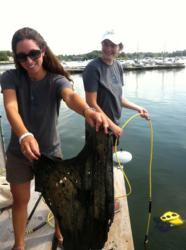 Rozalia Project volunteers remove trash from the ocean.